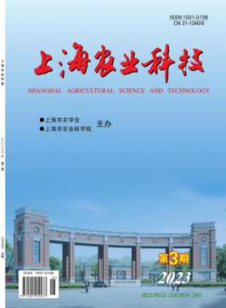 上海农业科技